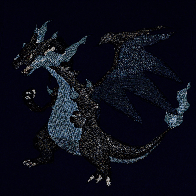 Charizard tapestry Hoodie 
